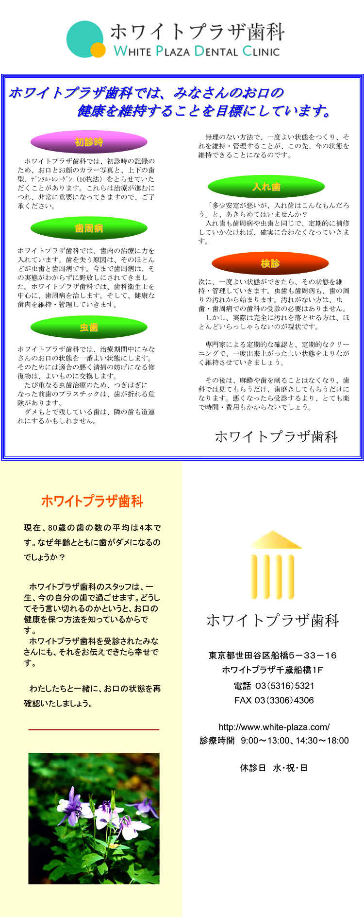 ホワイトプラザ歯科のお知らせ内容