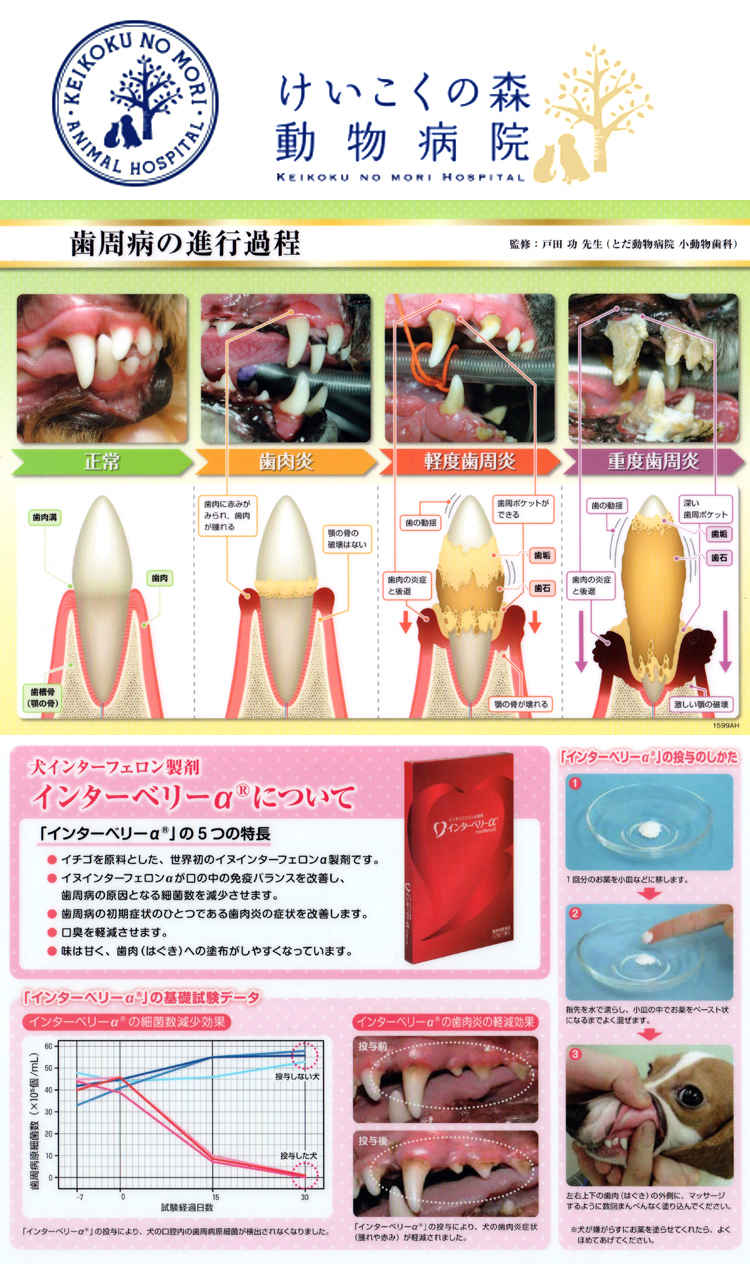 けいこくの森動物病院のお知らせ内容
