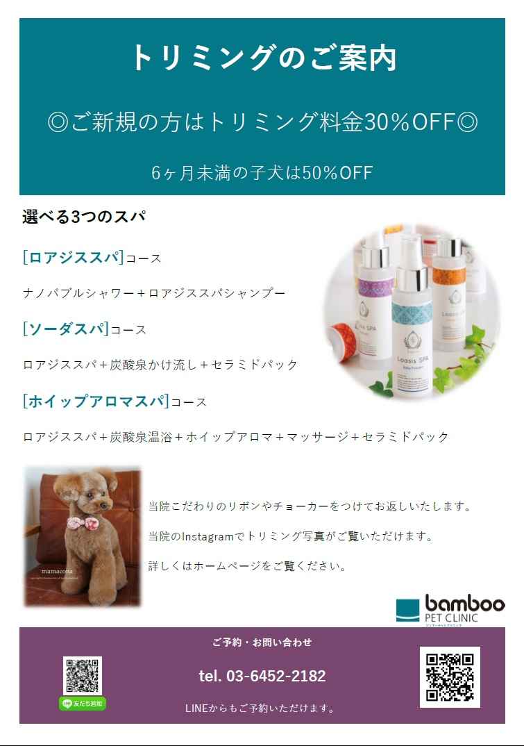 バンブーペットクリニックのお知らせ内容