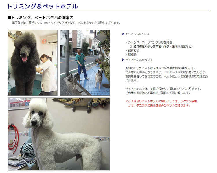 シートン動物病院のお知らせ内容