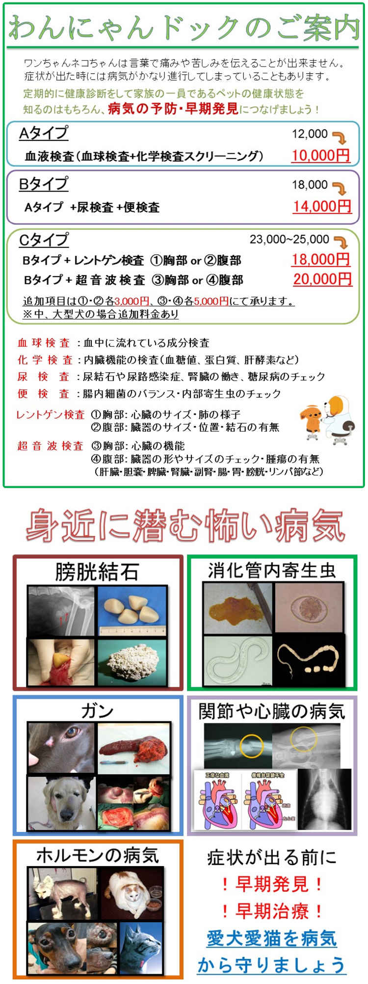 とよす動物病院のお知らせ内容