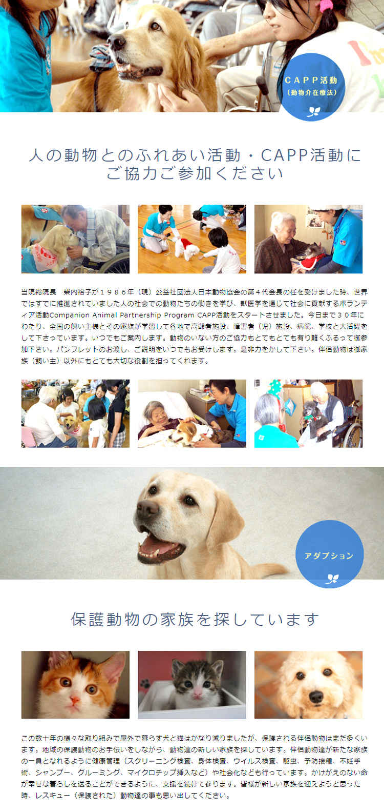 新着東京 動物 ふれあい 犬 最高の動物画像