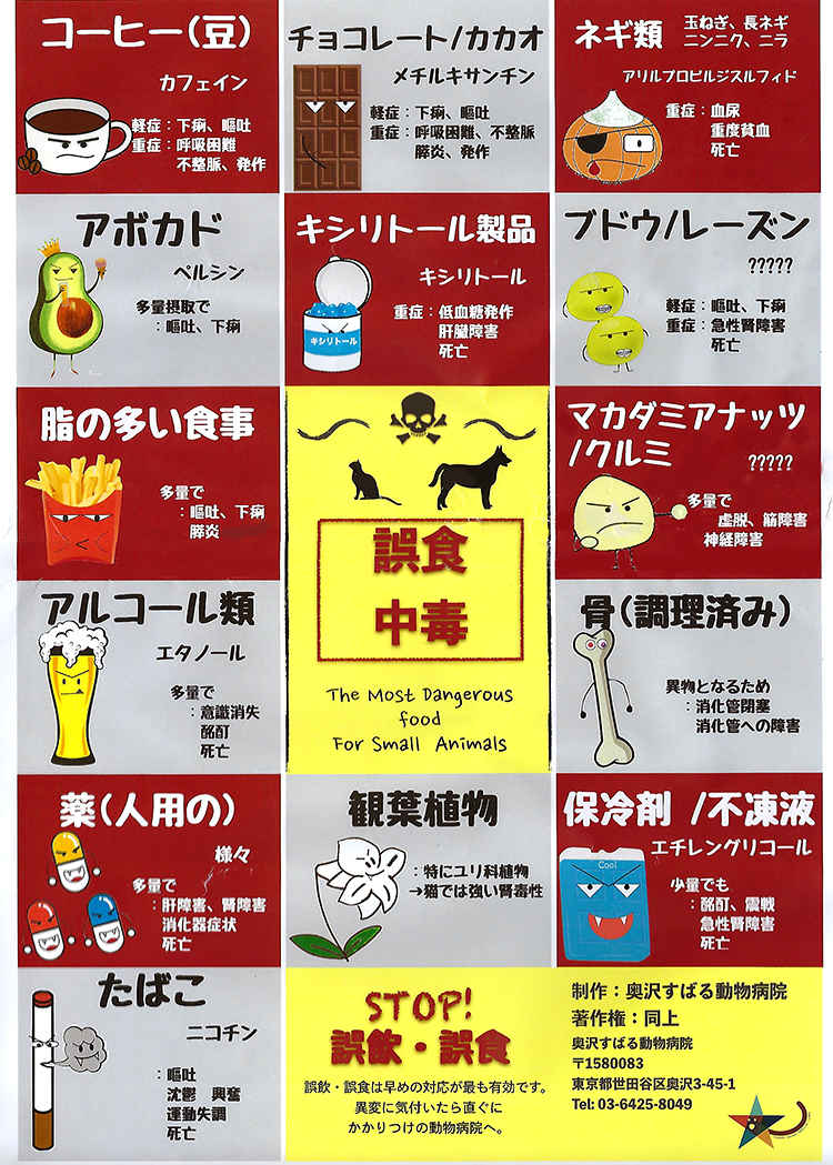 お知らせ 奥沢すばる動物病院 奥沢駅 犬 東京ドクターズ