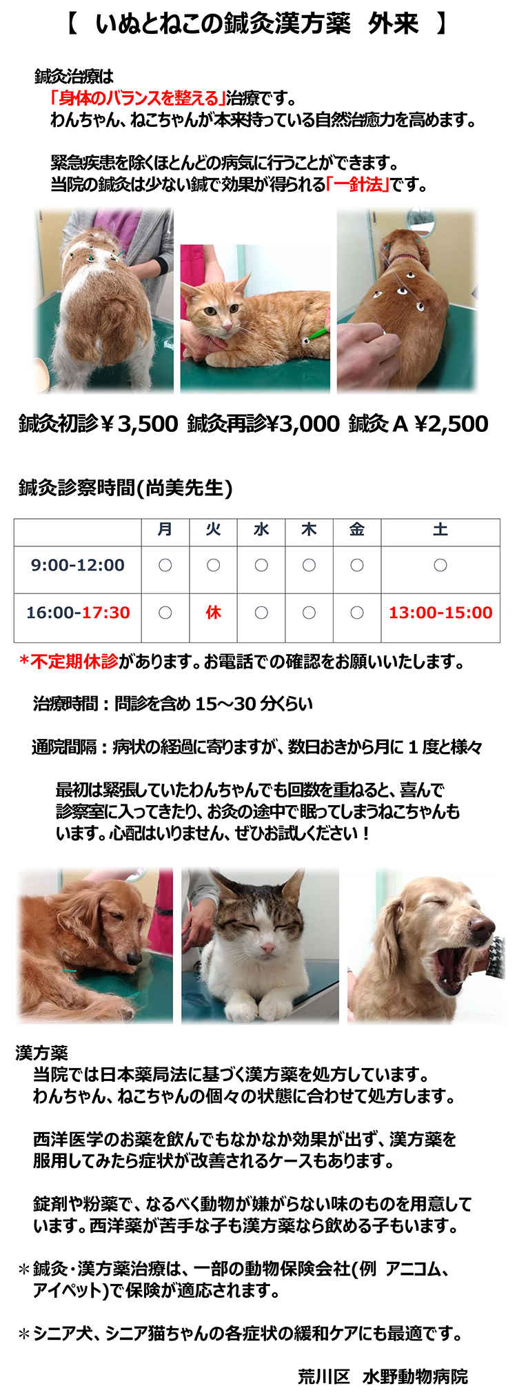 水野動物病院のお知らせ内容