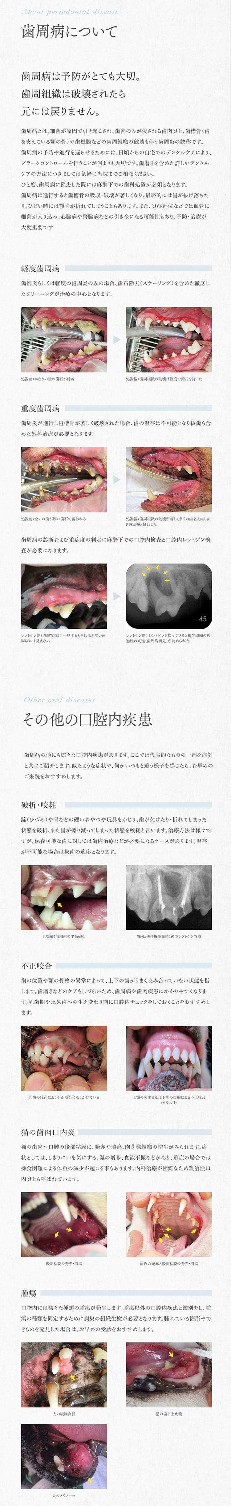 はちや動物病院のお知らせ内容