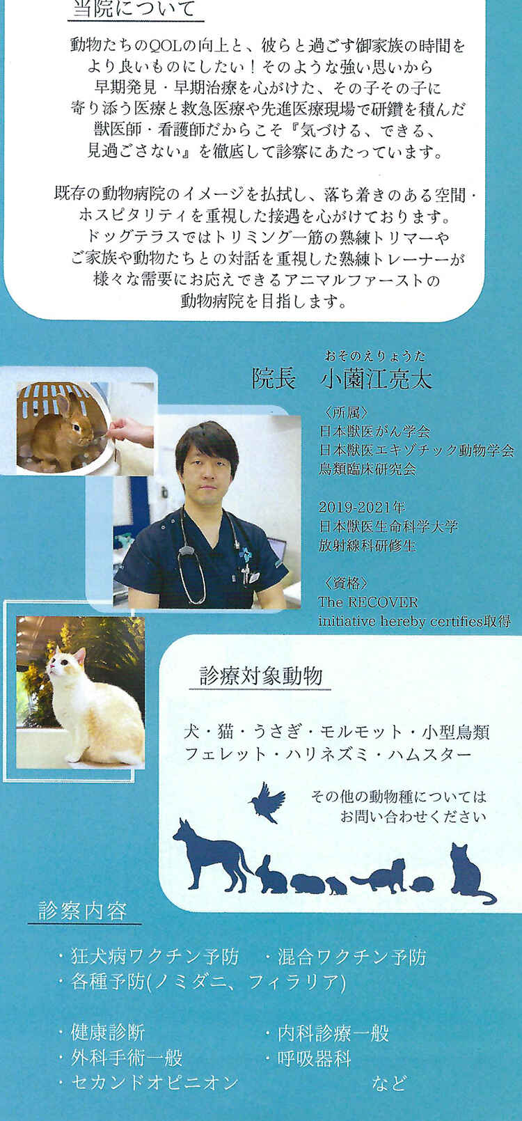 渋谷動物医療センターのお知らせ内容