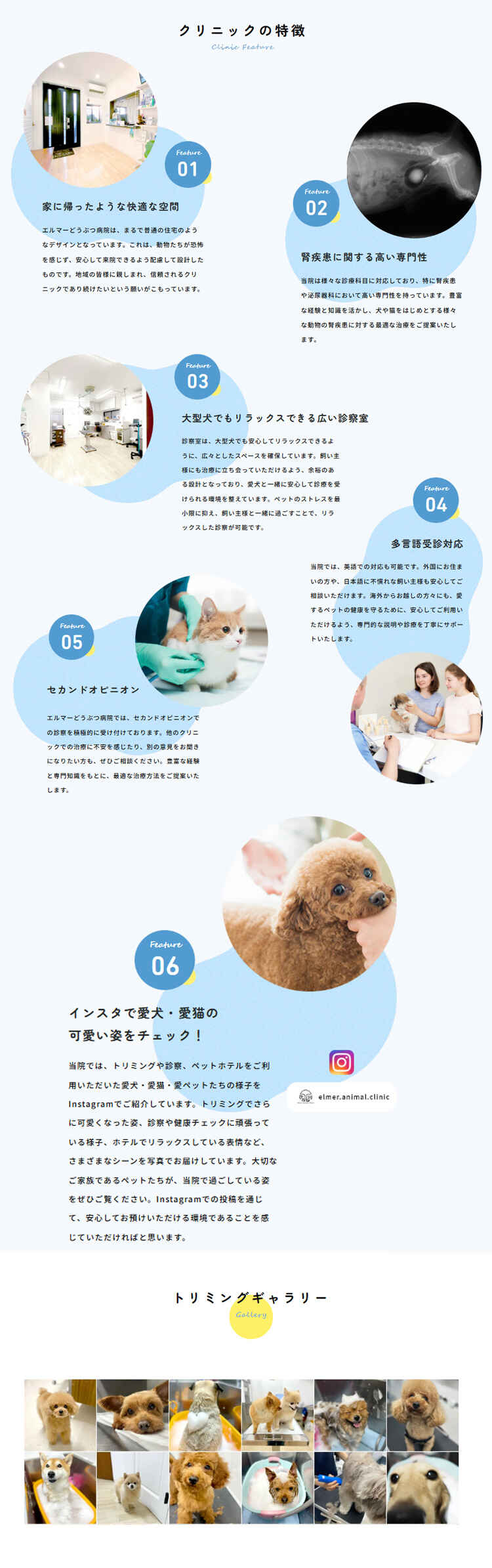 エルマーどうぶつ病院のお知らせ内容