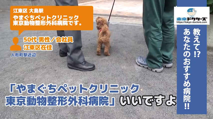 犬男性の声／会社員／江東区在住