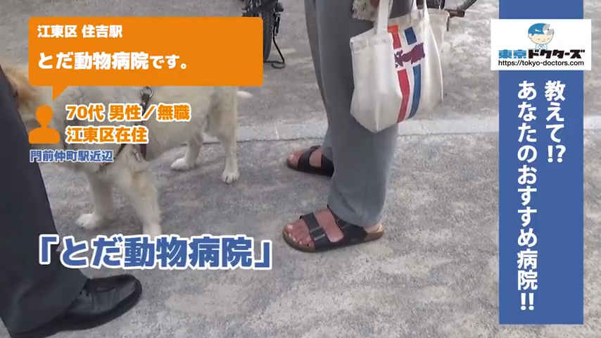 70代男性の声／無職／江東区在住