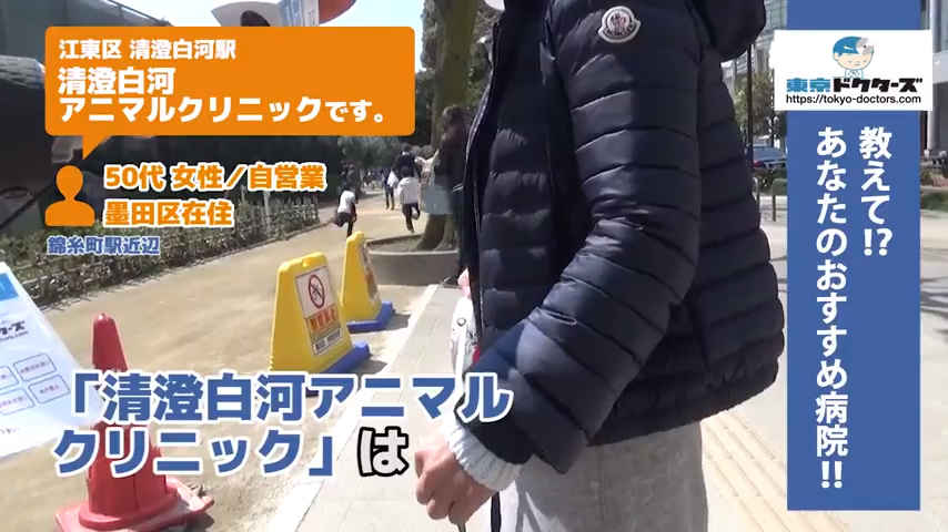 50代飼い主の声／自営業／墨田区在住