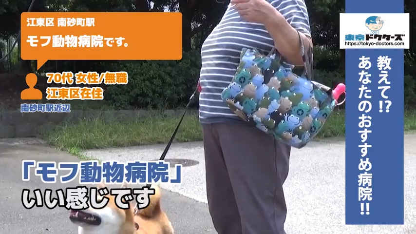 70代女性の声／無職／江東区在住