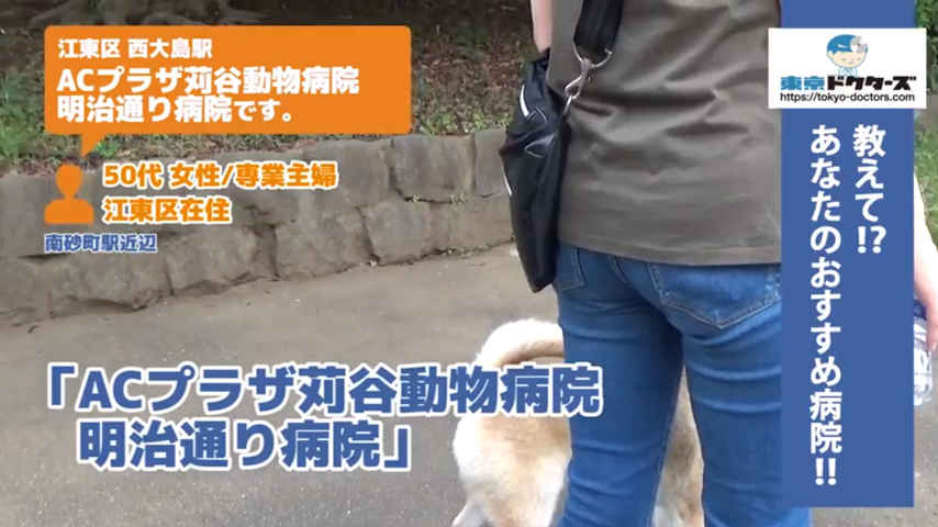 犬飼い主の声／専業主婦／江東区在住