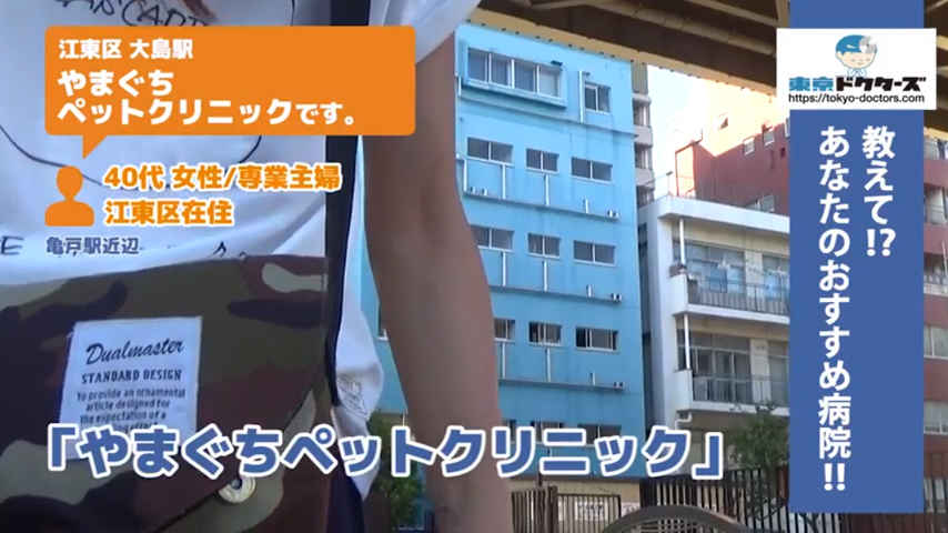 犬男性の声／会社員／江東区在住