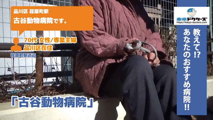 70代女性の声／専業主婦／大田区在住