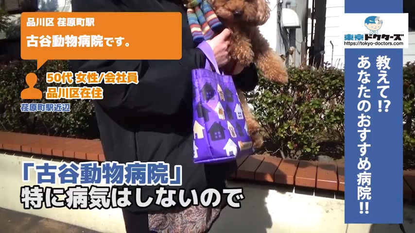 80代飼い主の声／無職／品川区在住