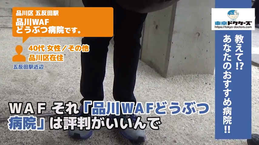 犬飼い主の声／その他／品川区在住