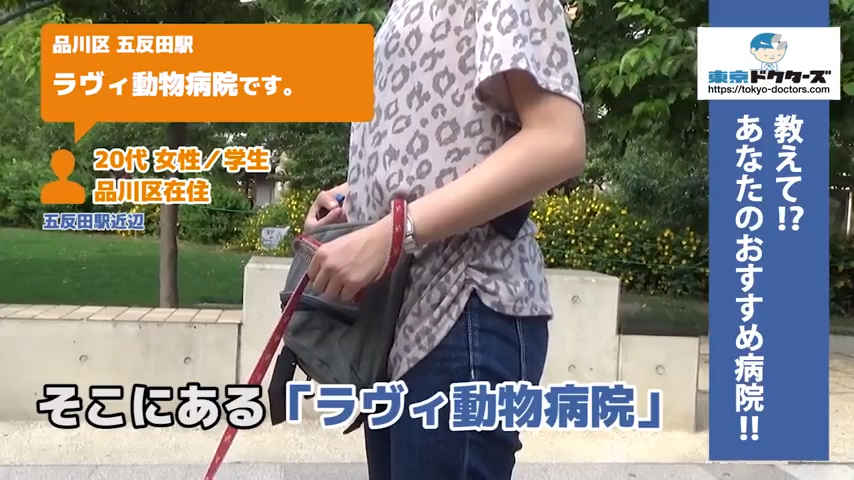 30代女性の声／専業主婦／品川区在住