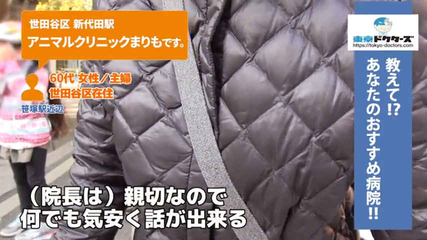 60代女性の声／専業主婦／世田谷区在住