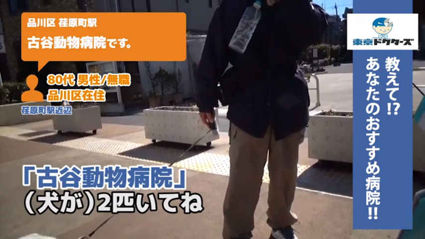 80代男性の声／無職／品川区在住