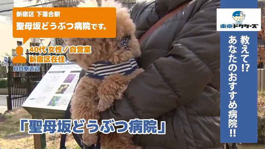 60代飼い主の声／自営業／豊島区在住