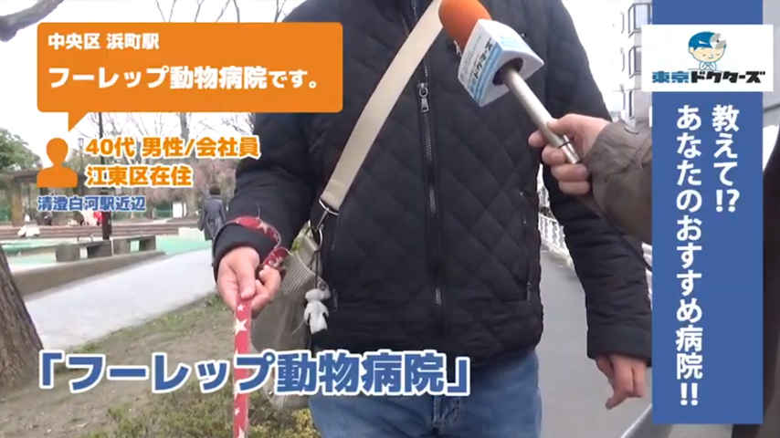 40代男性の声／会社員／江東区在住